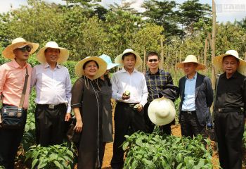 江西省政府代表團考察中國援赤道幾內(nèi)亞示范農(nóng)場